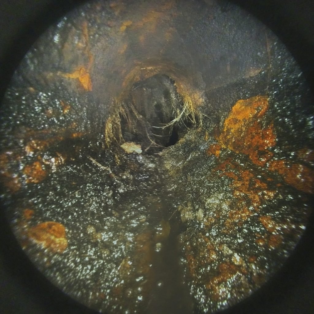 Before: interior of the drain line.